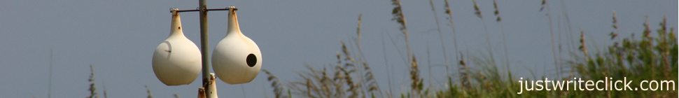 just write click header image 4
